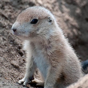 テストtest_hall01