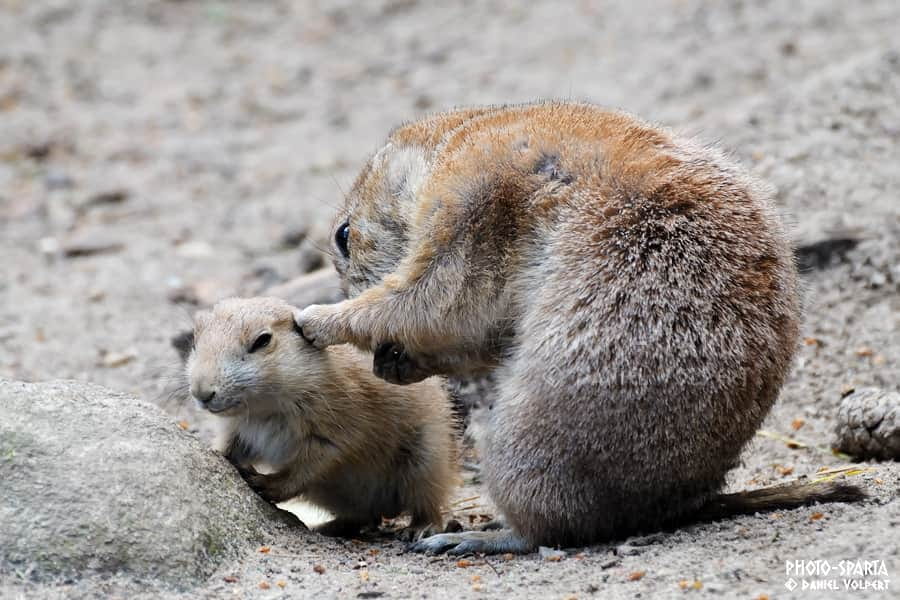 テストtest_blog05