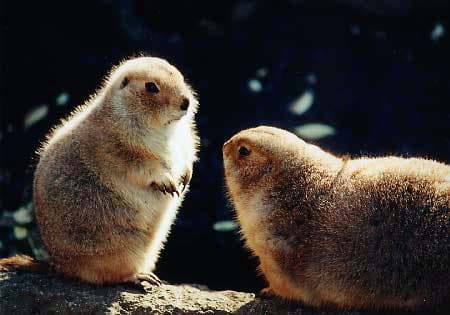 テストtest_hall02